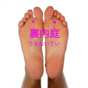 裏内庭